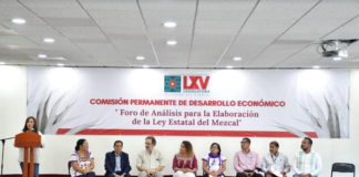 Analiza 65 Legislatura y productores de mezcal iniciativas para el beneficio de este sector
