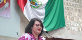 Liz Matus propone la Ley integral para regular el cultivo de agaves y producción de mezcal