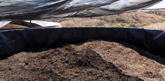 Oaxaca de Juárez: ejemplo en la separación de los Residuos Sólidos Urbanos