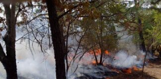 DETRÁS DE LA NOTICIA: Presiones, chantajes y fuego amigo, avivan infierno de la crisis de basura