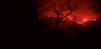 Combate Coesfo cuatro incendios forestales