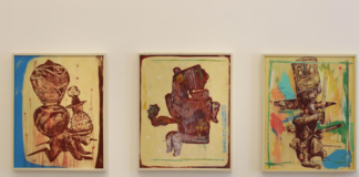 Demián Flores reta a la percepcioìn iconograìfica del observador