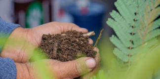 Exitosa entrega de abono orgánico