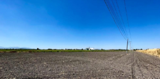 Sequía amenaza la producción Agrícola Nacional