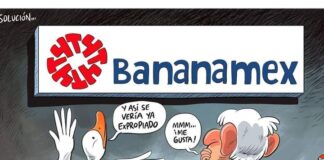 El Zumbido del Moscardón: Los distractores