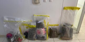 Asegura Fiscalía de Oaxaca golosinas con mariguana, así como otras drogas