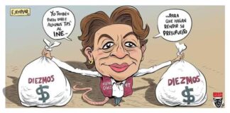 El Zumbido del Moscardón: La otra cara en el Edomex