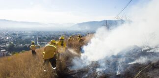 Combatientes de incendios forestales, héroes protectores de los bosques de Oaxaca