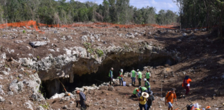 El Zumbido del Moscardón: Colapsa tramo 5 del tren maya… y México también