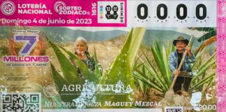 Devela Lotería Nacional billete alusivo al Maguey-Mezcal