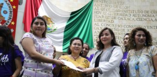 No más violentadores en el gobierno, pide brigada violeta al H. Congreso de Oaxaca