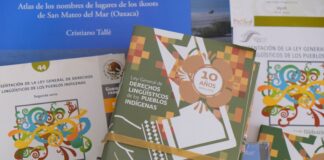 Contarán pueblos con material de consulta en lenguas originarias