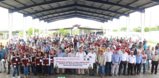 Arranca programa Abasto Seguro de Maíz en la Cuenca del Papaloapan