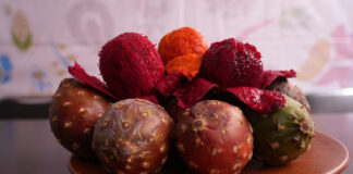 Invitan a disfrutar de la tradicional Feria Regional de la Pitaya