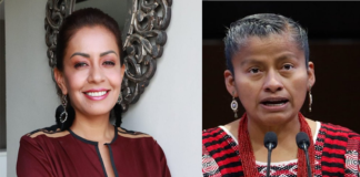 Rechaza diputada integración de Mariana Benítez a Morena