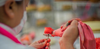 Ofrece Icapet más de 300 cursos con validez oficial