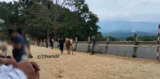 Comando armado mata a 4 personas en carrera de caballos en Putla