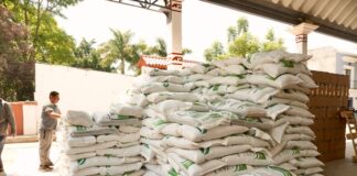 Programa Abasto Seguro de Maíz beneficia a 664 personas productoras de seis municipios