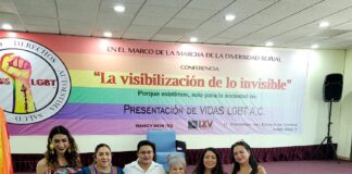 Congreso aliado en la lucha por el respeto a los derechos de la diversidad sexual: Miriam Vázquez