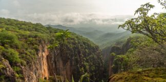 Con actividades de concientización ambiental, celebrarán Día de la Riqueza Natural de Oaxaca