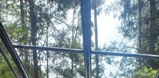 Fiscalía de Oaxaca investiga homicidio cometido en Tanivet; hay dos personas detenidas