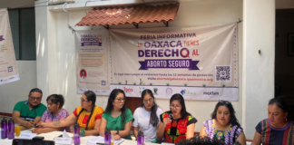 Feministas exigen mayor presupuesto para un aborto seguro