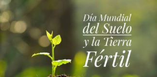 EfeméridesRIO: Día Mundial del Suelo y la Tierra Fértil