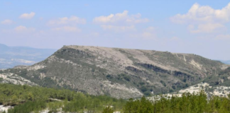 Logran comunidades oaxaqueñas la restauración ambiental más grande del país