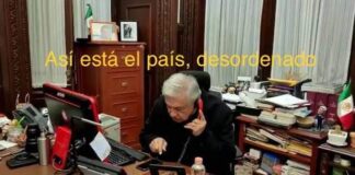 El Zumbido del Moscardón: El desorden