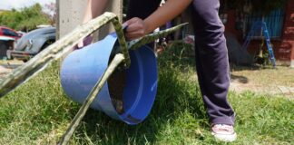 Convoca SSO a realizar la estrategia Patio Limpio