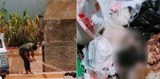 Investiga Fiscalía crueldad animal en Santiago Apóstol