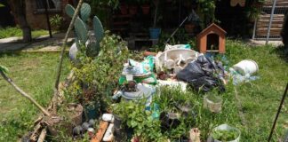 Reducir la incidencia del dengue es responsabilidad colectiva