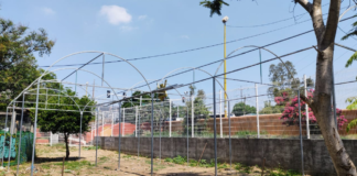 Con micro túnel para hortalizas, Sistema DIF Oaxaca muestra prototipo de proyectos alimentarios