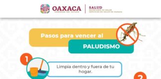 Exhorta SSO a la población a eliminar criaderos del mosquito transmisor del paludismo