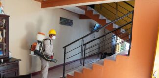 Acciones de patio limpio evitan la propagación del dengue: SSO