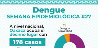Reitera SSO llamado para recibir atención médica ante síntomas de dengue