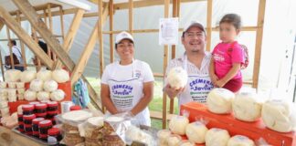 Inicia la Expo Feria del Queso y del Quesillo 2023 en Reyes Etla