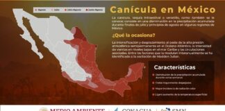 Inició la canícula con disminución de lluvia en 26 entidades de México: SMN