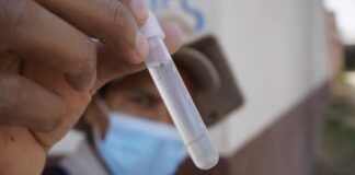 Arranca SSO Primera Jornada Estatal de Lucha contra el Dengue 2023