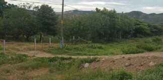 Localizan cadáver de mujer en carretera de Salina Cruz