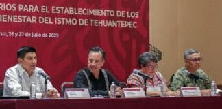 Oaxaca y Veracruz, los estados más atractivos para invertir durante los próximos 50 años: Salomón Jara