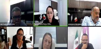 En plena sesión, Comisionada del OGAIP denuncia violencia política