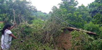 Protección Civil monitorea regiones de la Costa y Mixteca, ante fuertes lluvias