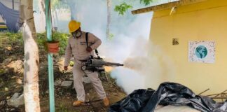 Reporta SSO 709 casos de dengue confirmados en la entidad