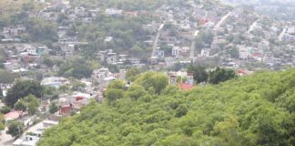 Siembra de árboles contribuye a recargar mantos acuíferos: Soapa