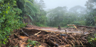 Lluvias dejan incomunicadas a comunidades de la Sierra Sur
