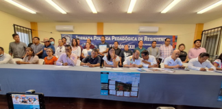 Sección 22 anuncia calendario escolar alternativo