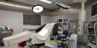 La Primavera Oaxaqueña aliada de la visión empresarial que genera empleos: Salomón Jara