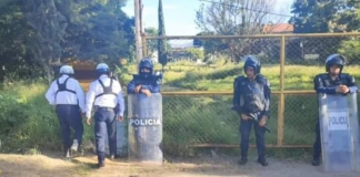 DETRÁS DE LA NOTICIA: ¡Gobernador, reubique al comercio informal en los terrenos de Triplay!