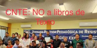 El Zumbido del Moscardón: La CNTE: No a los Libros de Texto